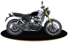 BEAR 650